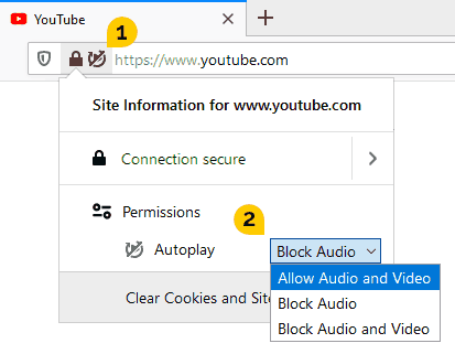 Site Information for YouTube in Firefox
