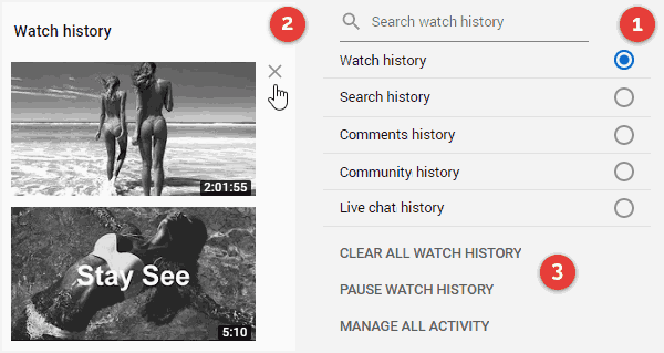Delete Your History on YouTube