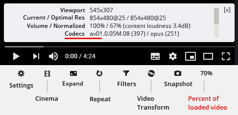 AV1 codec support